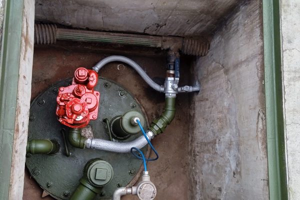 WhatsApp Image 2022-05-25 at 11.36.16 AM (1)